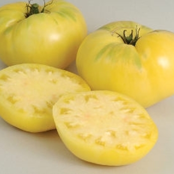 Slicing - 'Great White' Tomato