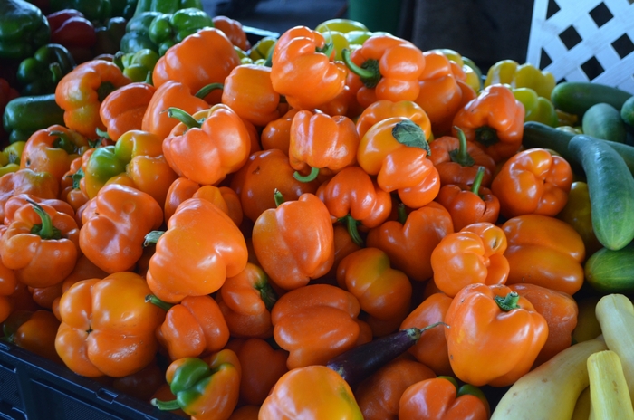 Orange Bell Pepper - Capsicum annuum (Orange Bell Pepper) from Agway of Cape Cod