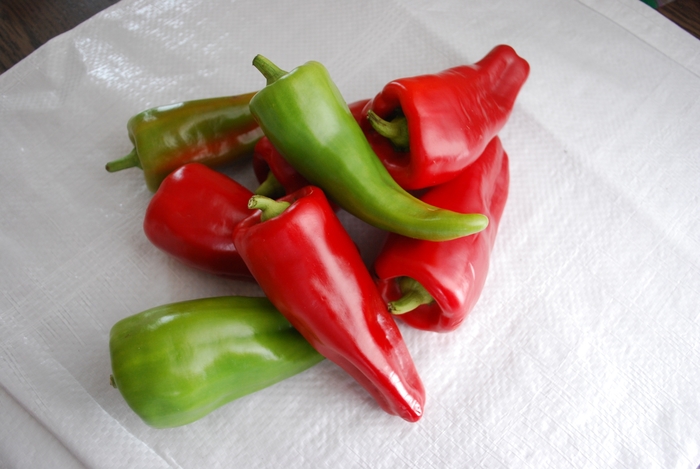 Cubanelle Pepper - Capsicum annuum 'Cubanelle' (Pepper) from Agway of Cape Cod