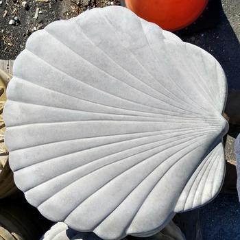 Round Sea Shell 'SKU 10000524' - STEPPING STONE; ROUND SEA SHELL